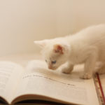 人生の成功につながるドアはどこにあるのか|The Third Doorを読んで感じたこと