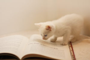 人生の成功につながるドアはどこにあるのか|The Third Doorを読んで感じたこと