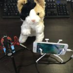 スマホゲーム配信でマイクを使う方法まとめ！接続方法と注意点実例